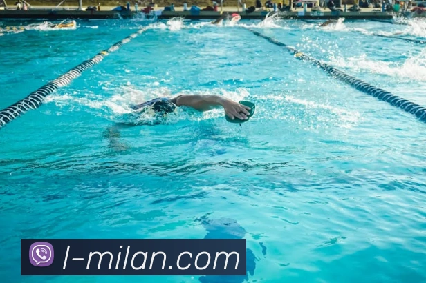 米兰体育APP 封面图